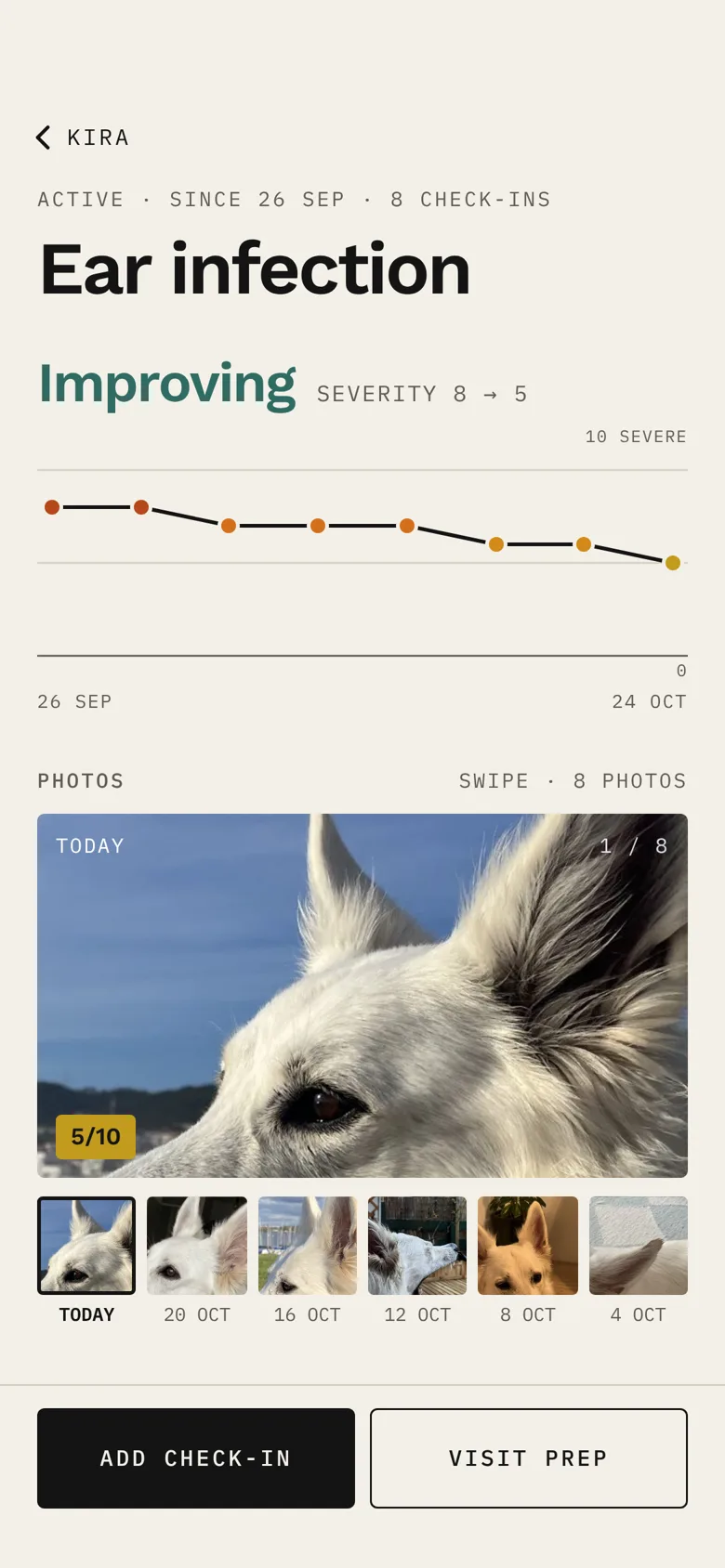 Day 29: Improving, severity 8 to 5, eight check-ins with dated ear photos.